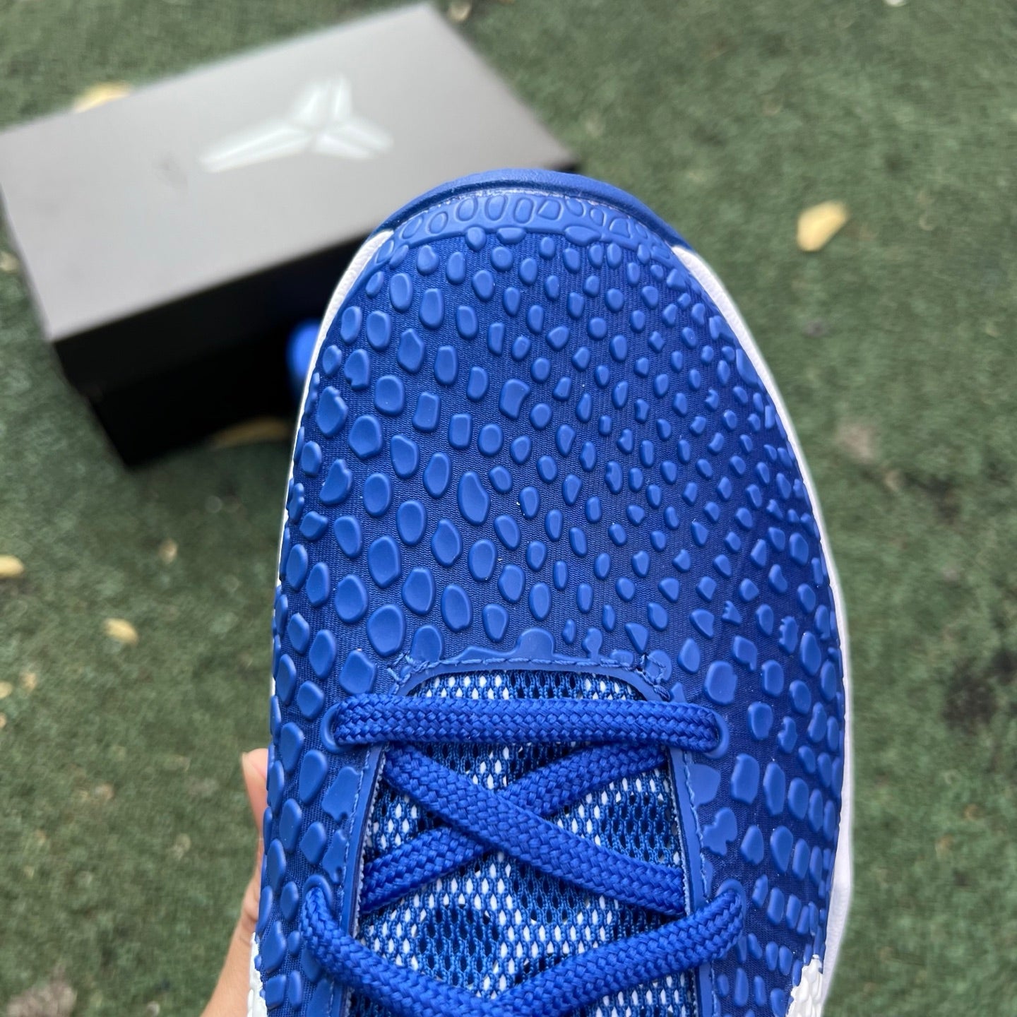 Nike Zoom Kobe 6 Protro "Dodgers" CW2190-400