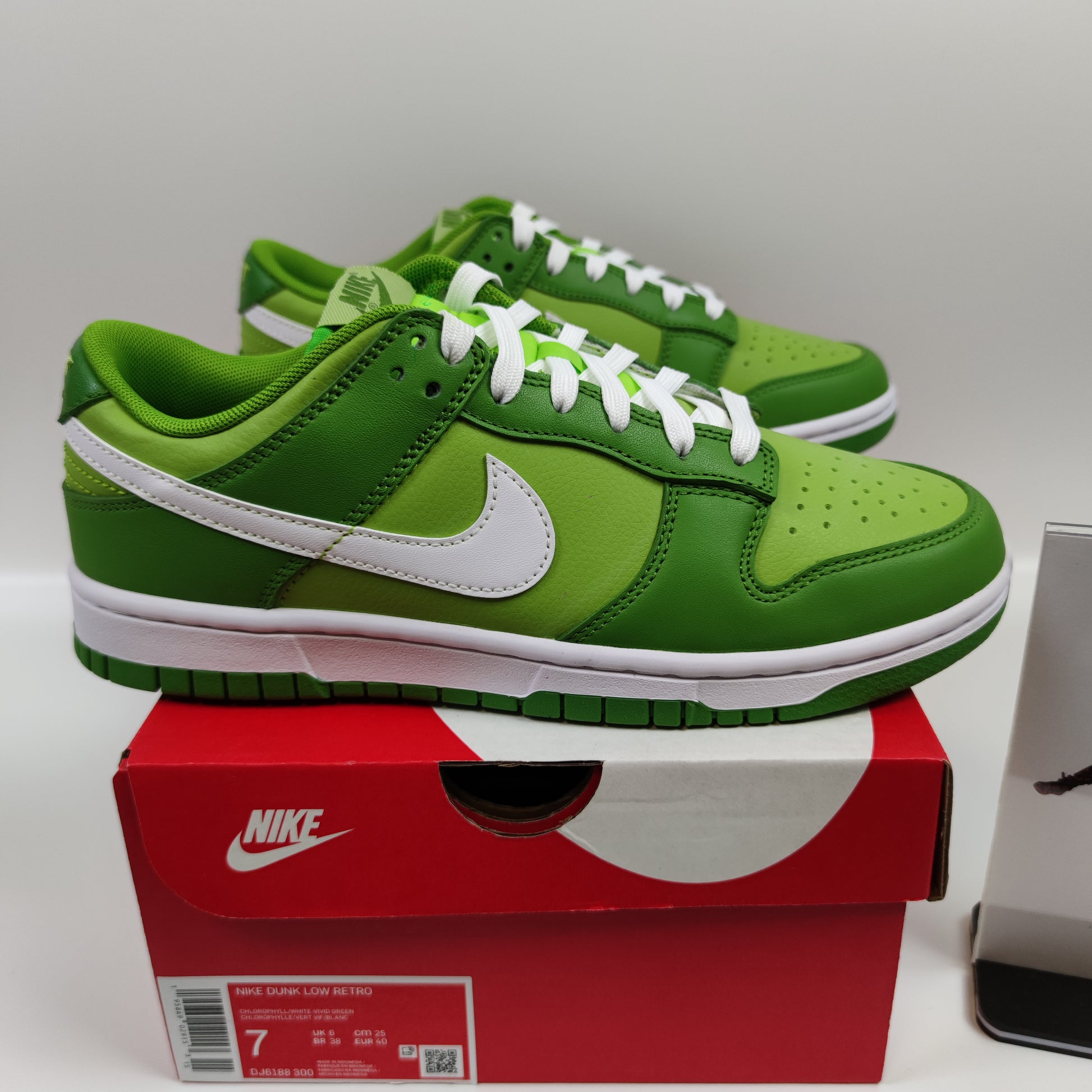 Nike Dunk Low Retro "Kermit" DJ6188-300 - Fashion Sneaker1818